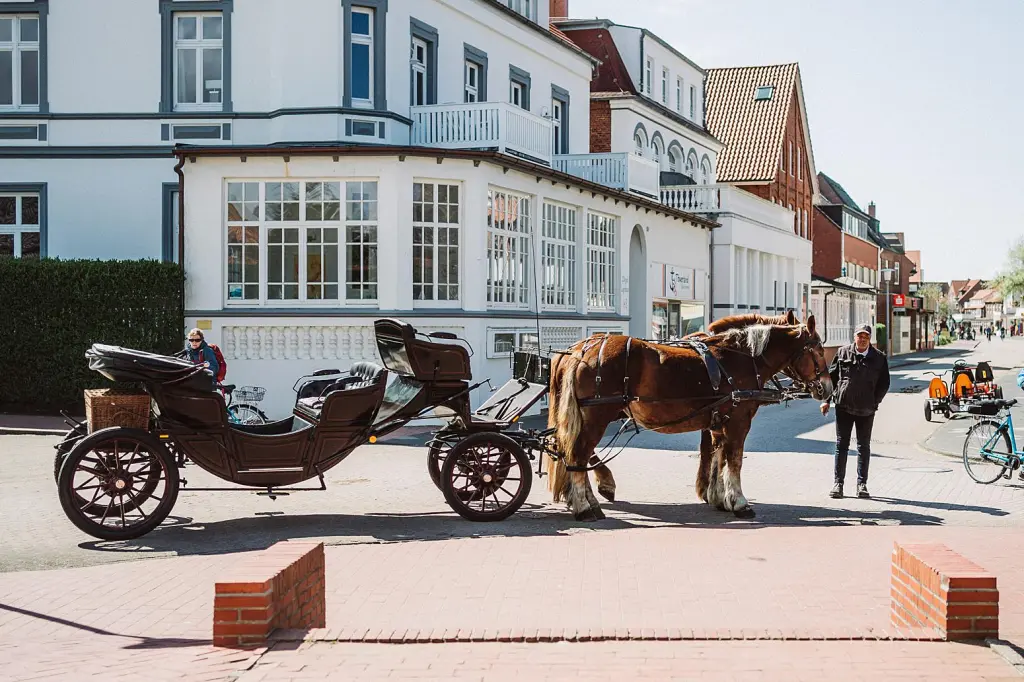 Pferdekutsche auf der Insel Juist